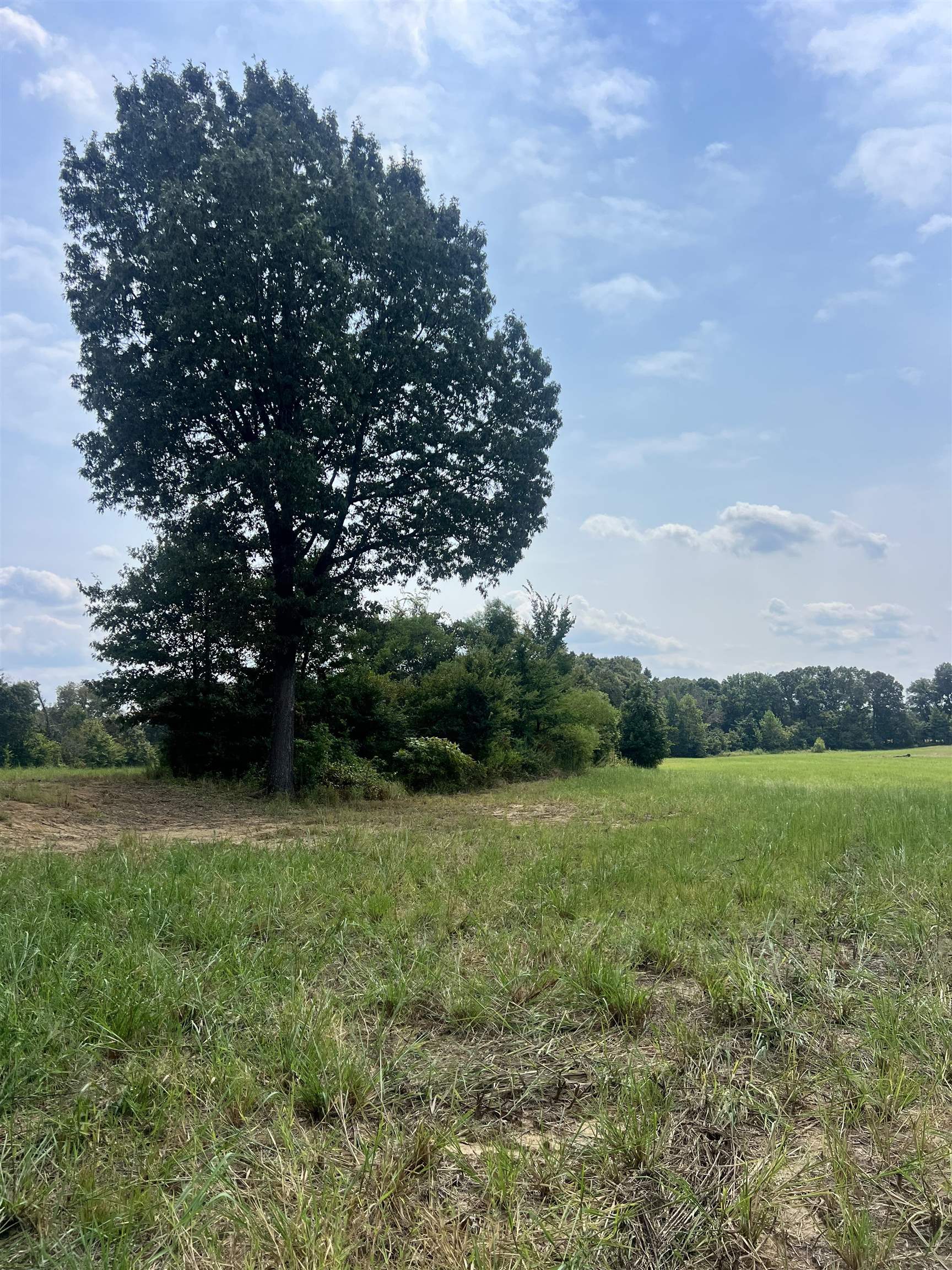 4 Andrew Road Mason, TN 38049 - Photo 10 of 11 a view of a field of grass and trees