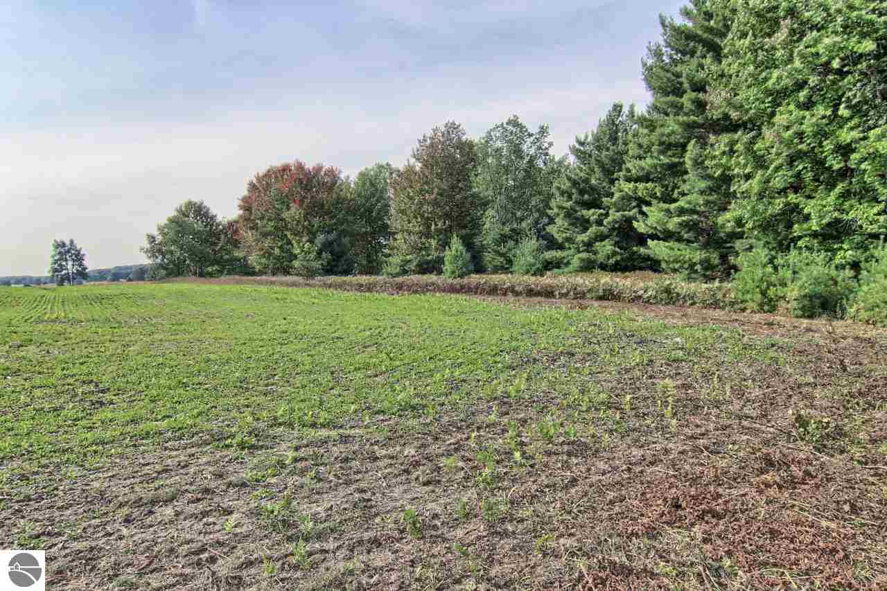 11829 East 14 Road Manton, MI 49663 - Photo 47 of 49 1807921-46.JPG