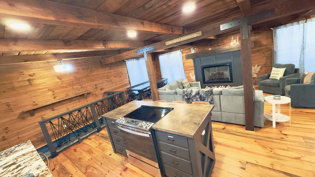 325 Pettit Ridge Road Ellijay, GA 30536 - Photo 15 of 48 Gallery Image 15