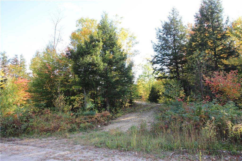 Tbd Brook Road Bethel, ME 04217 - Photo 3 of 13 Photo