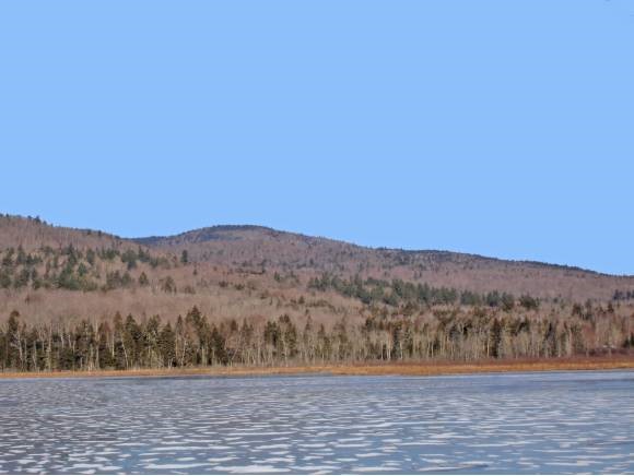 0 Burbee Pond Road Windham, VT 05359 - Photo 1 of 1