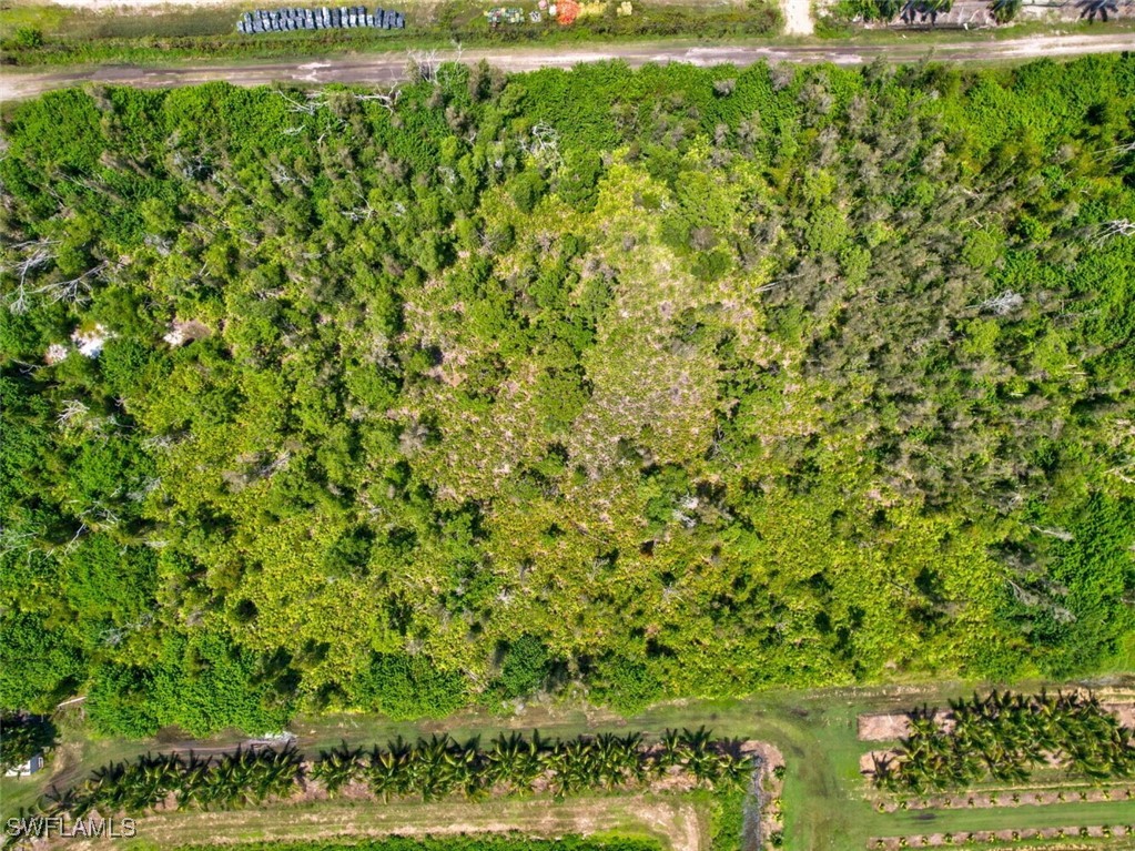 6911 Sun Rise Lane Bokeelia, FL 33922 - Photo 5 of 8