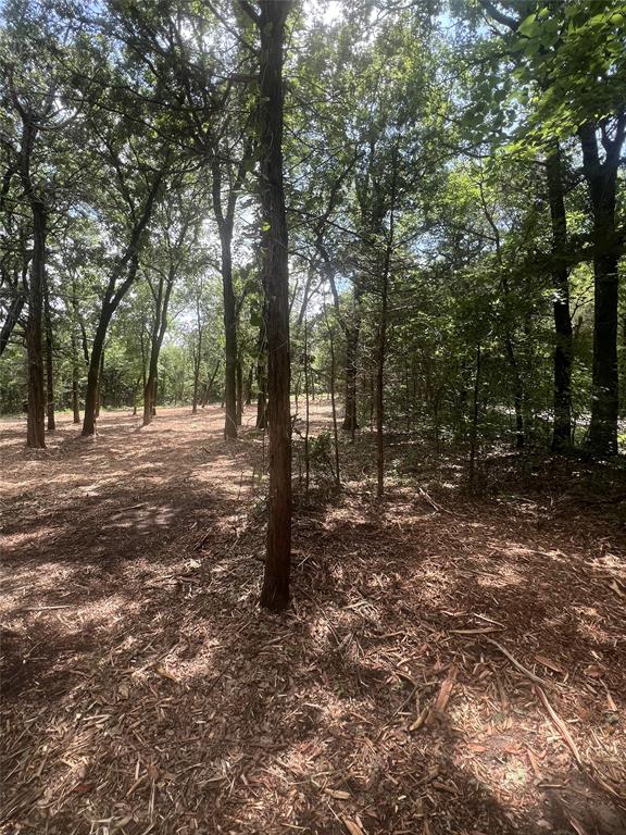 0 County Road Windom, TX 75492 - Photo 4 of 9 a view of a tree in the middle of a yard