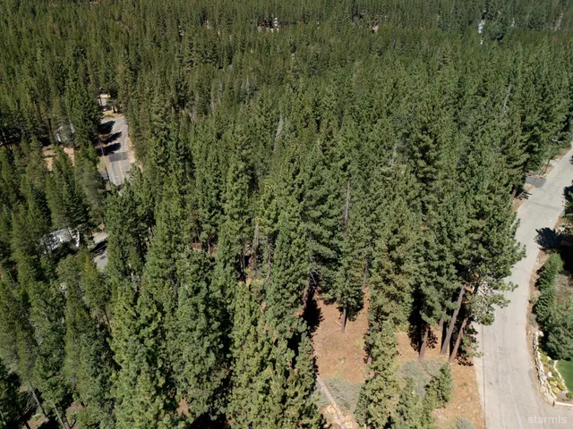 a view of a forest with a houses