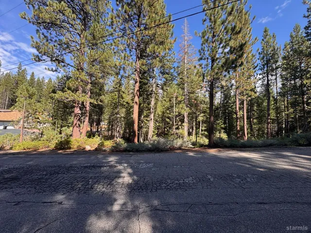 a view of a yard with a tree