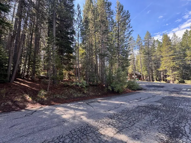a view of a yard with trees