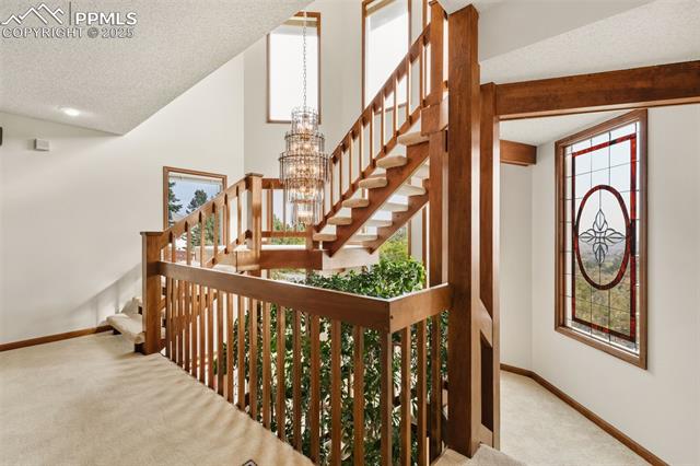 4 Pine Road Colorado Springs, CO 80906 - Photo 27 of 48 Views from every window