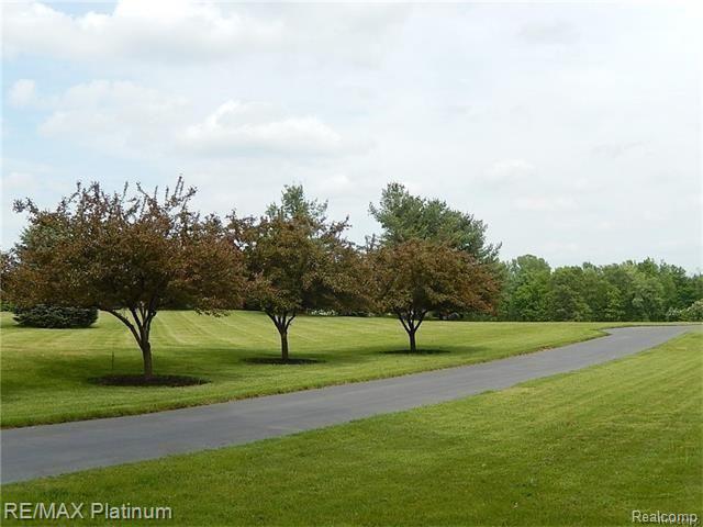 3347 Pingree Road Howell, MI 48843 - Photo 56 of 63 56.jpg