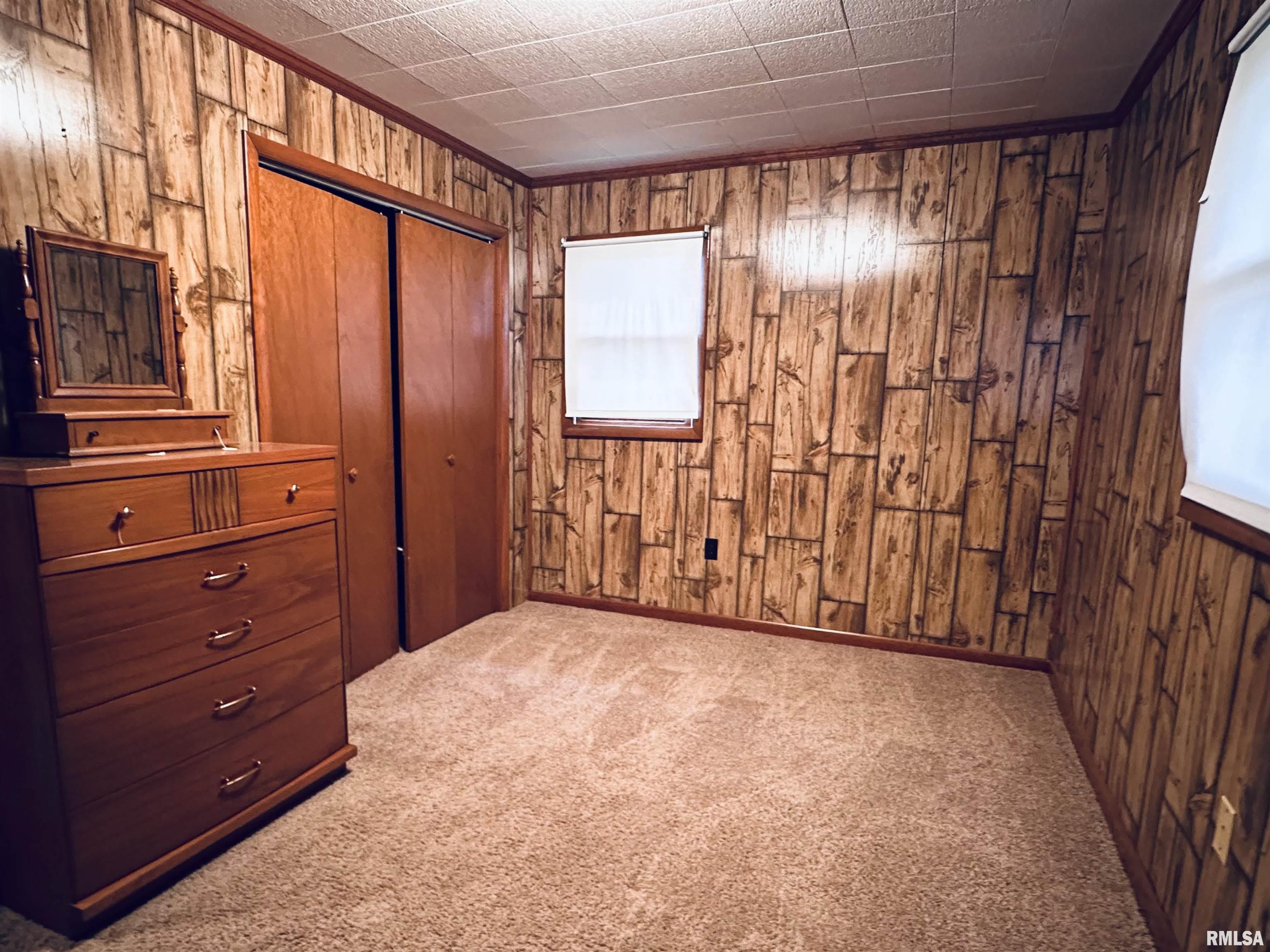 2290 Mt Pleasant Road Buncombe, IL 62912 - Photo 15 of 21