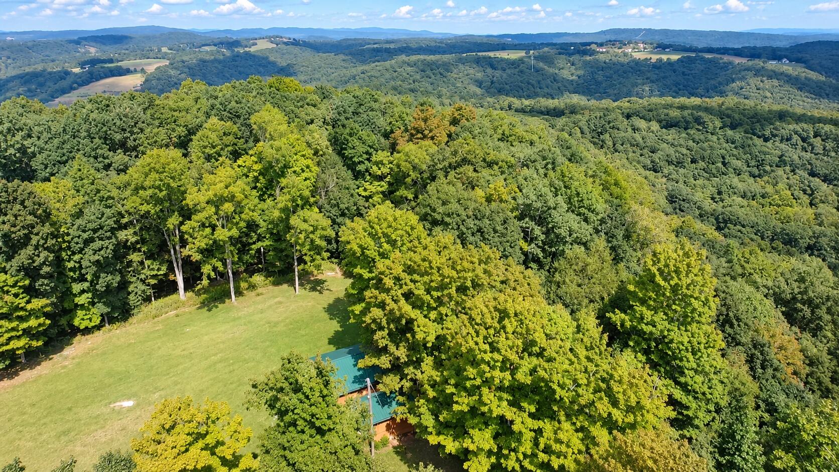 350 Mercy Mee Farm Road Ballard, WV 24918 - Photo 7 of 12 Gallery Image 7