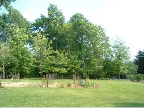 243 Dunbar Road Windsor, NY 13865 - Photo 3 of 4