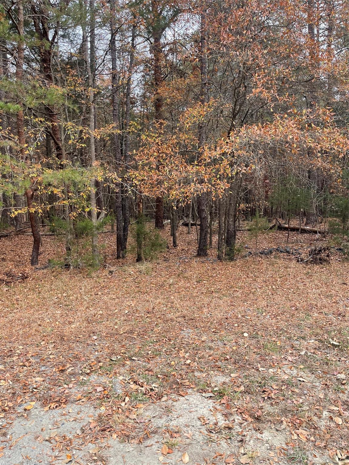 10505 Nugget Place Midland, NC 28107 - Photo 2 of 2 a backyard of a house
