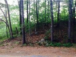 0 Batchelder Road Mason, NH 03048 - Photo 1 of 1