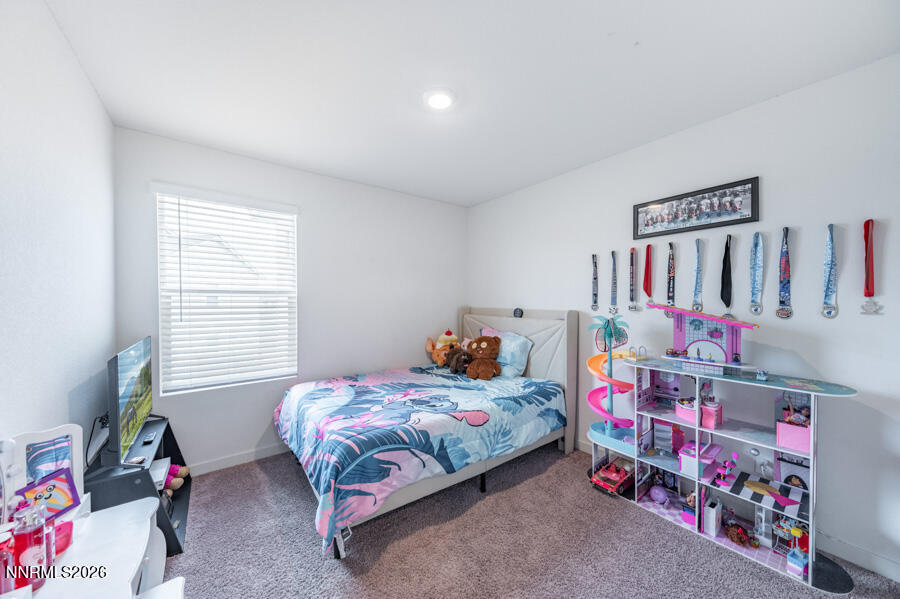 8830 Wolf Moon Drive Reno, NV 89506 - Photo 23 of 31 WM-1024