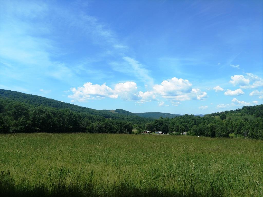 478 Pleasant Valley Road Sherburne, NY 13460 - Photo 1 of 1 Gallery Image 1