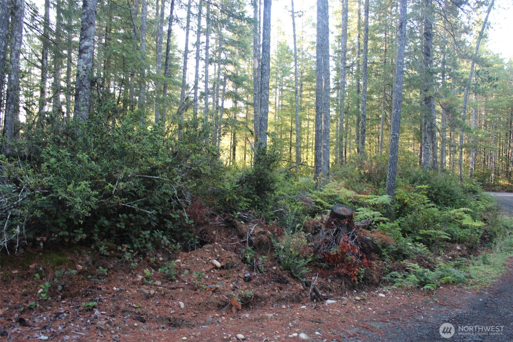 3511 Northeast Tahuya Blacksmith Road Tahuya, WA 98588 - Photo 4 of 10 a view of outdoor space and green space
