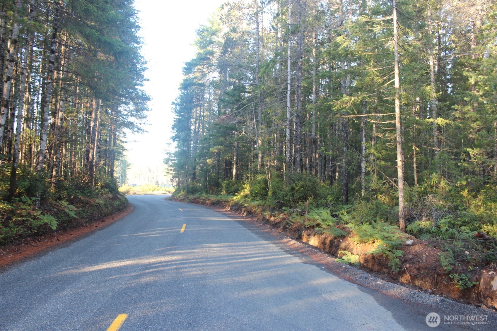 3511 Northeast Tahuya Blacksmith Road Tahuya, WA 98588 - Photo 5 of 10 a view of a yard