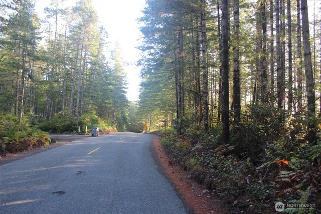 a view of a garden with plants and trees