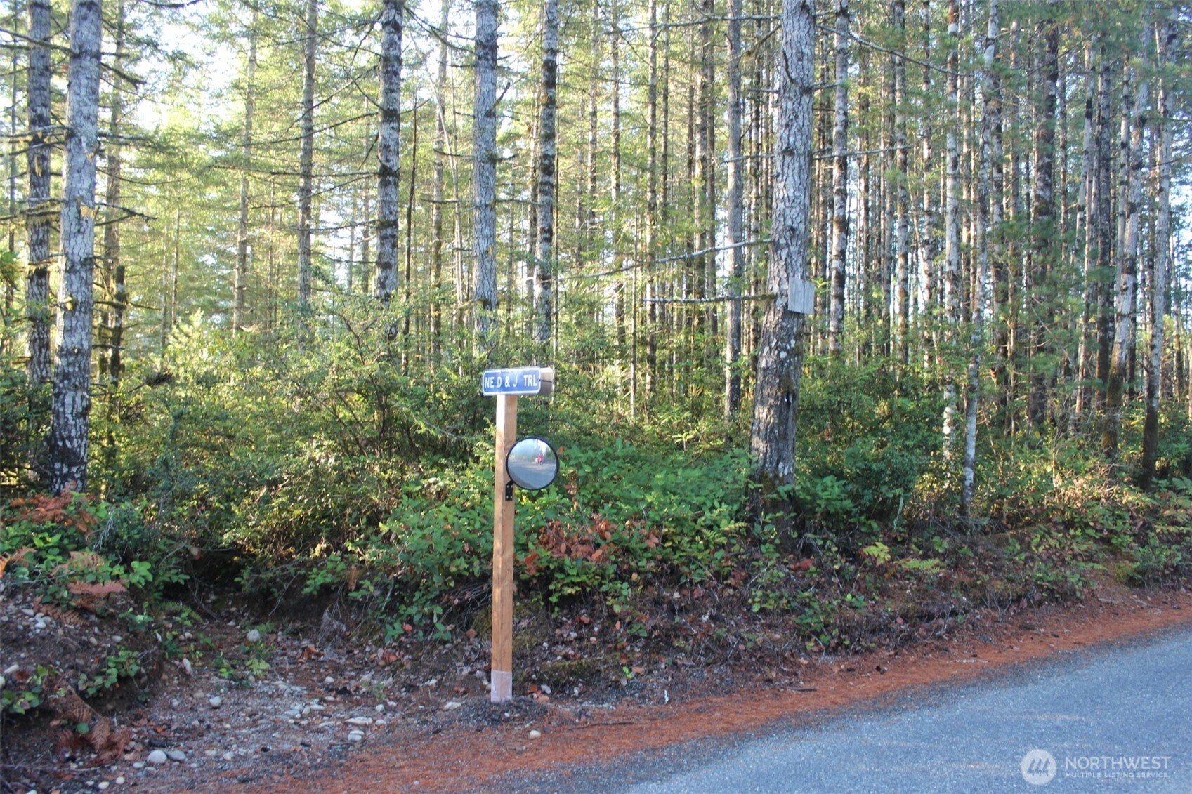 3511 Northeast Tahuya Blacksmith Road Tahuya, WA 98588 - Photo 10 of 10