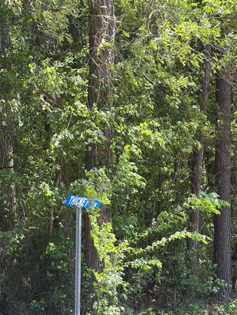 $50,000 | 0 Thicket Lane, St. Stephen, SC 29479