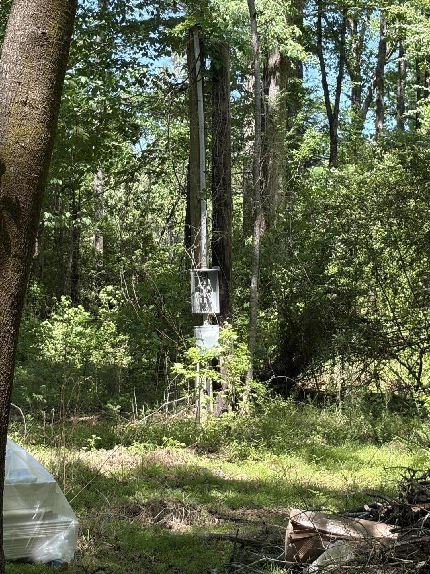 0 Thicket Lane St. Stephen, SC 29479 - Photo 5 of 5 IMG_6663