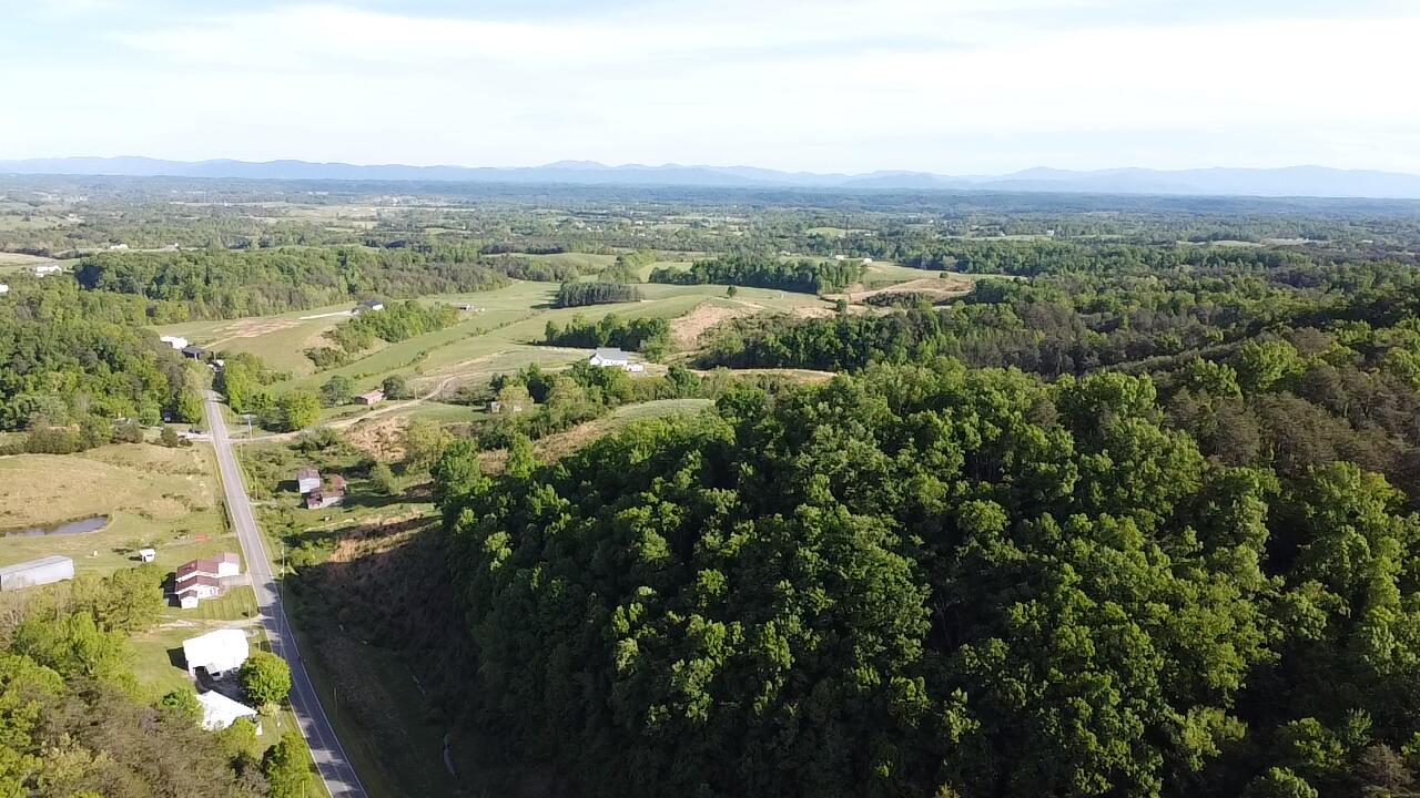 Tbd Mt Hope Road Mohawk, TN 37810 - Photo 1 of 18 Bays Mountain View!