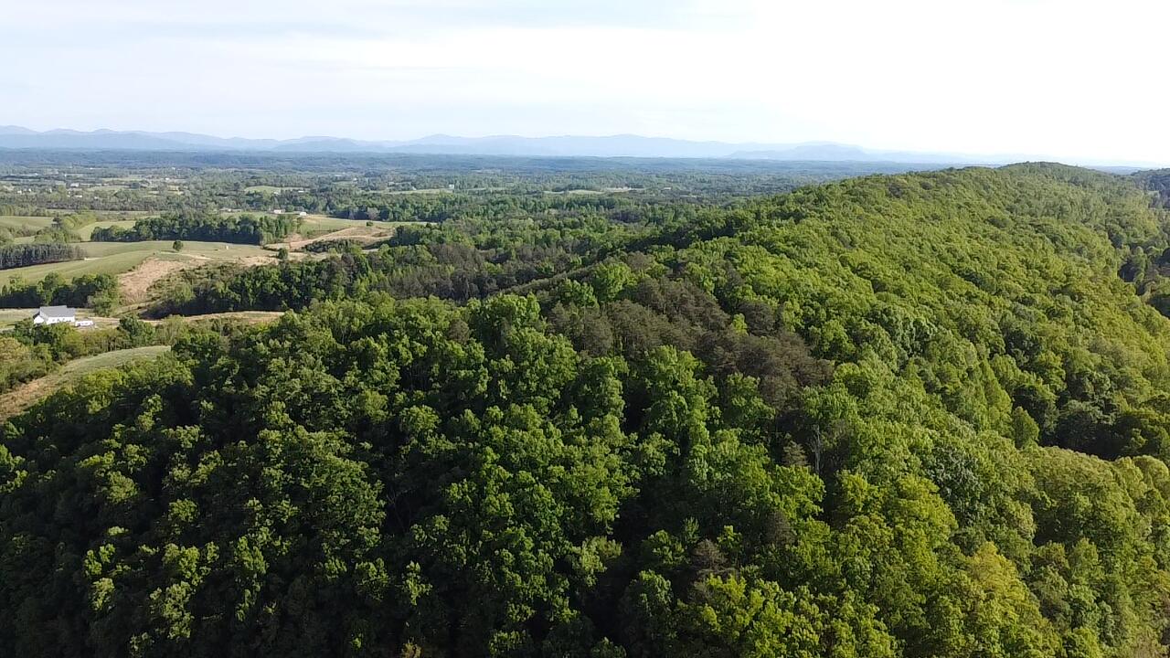 Tbd Mt Hope Road Mohawk, TN 37810 - Photo 11 of 18 Bays Mountain View!