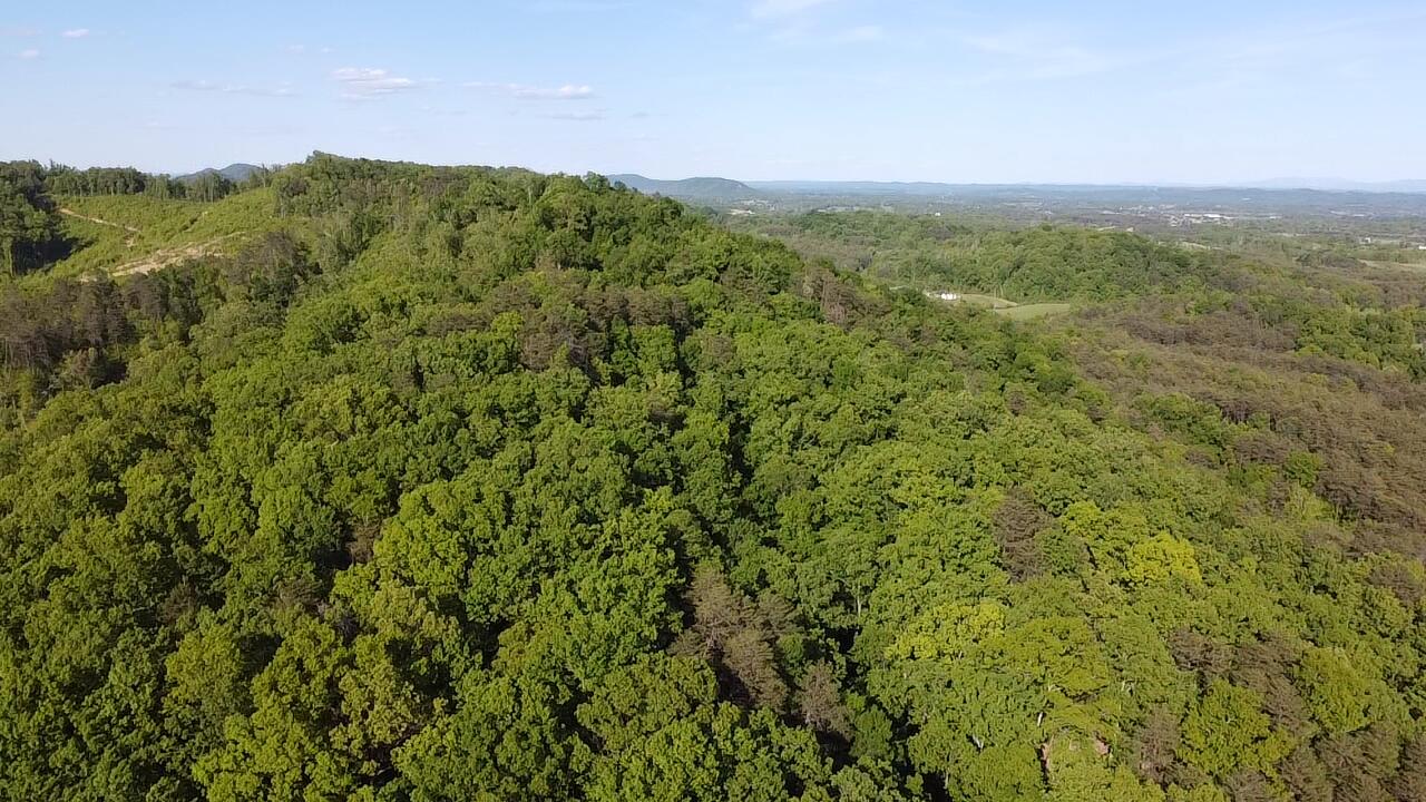 Tbd Mt Hope Road Mohawk, TN 37810 - Photo 15 of 18 A must walk!