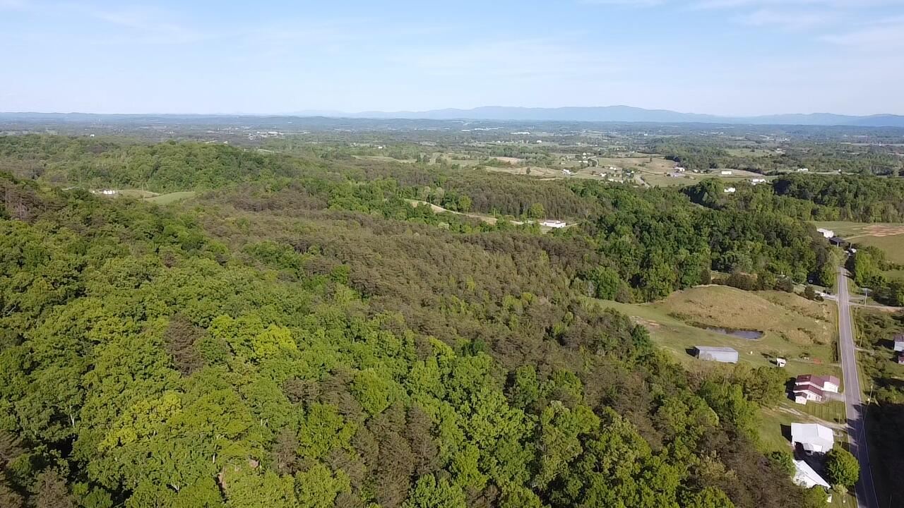 Tbd Mt Hope Road Mohawk, TN 37810 - Photo 16 of 18 Gorgeous Mountains for Miles!