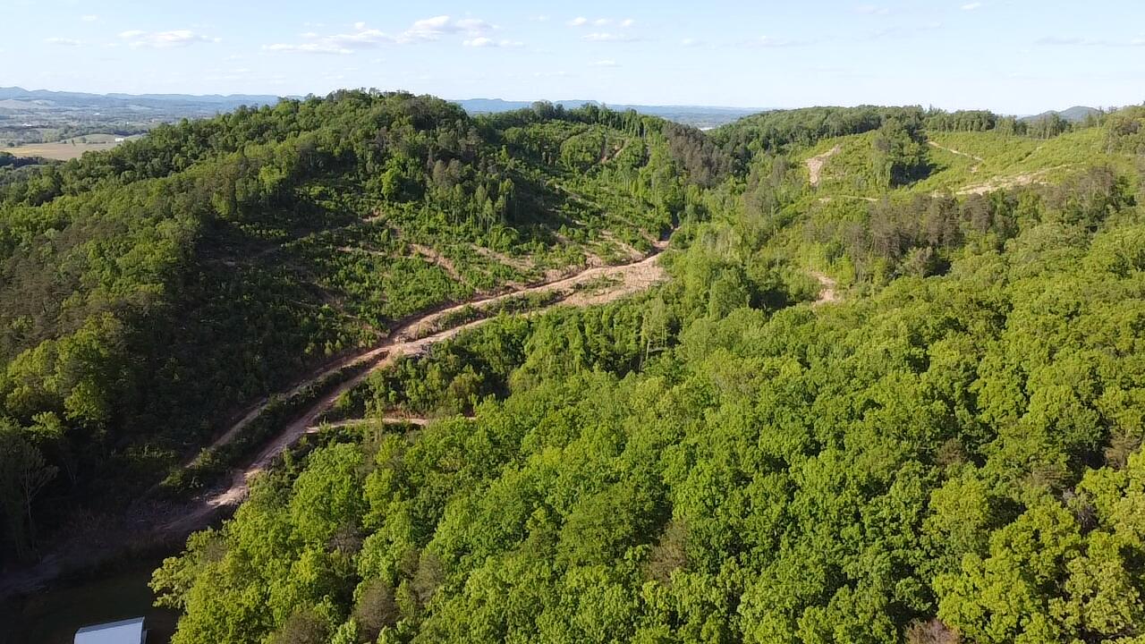 Tbd Mt Hope Road Mohawk, TN 37810 - Photo 17 of 18 Stunning area!