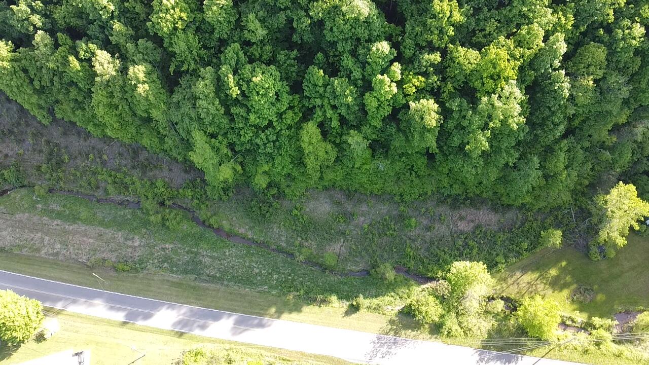 Tbd Mt Hope Road Mohawk, TN 37810 - Photo 4 of 18 Creek!