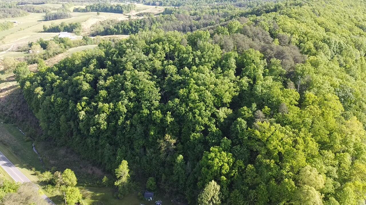 Tbd Mt Hope Road Mohawk, TN 37810 - Photo 6 of 18 Aerial of Build site!