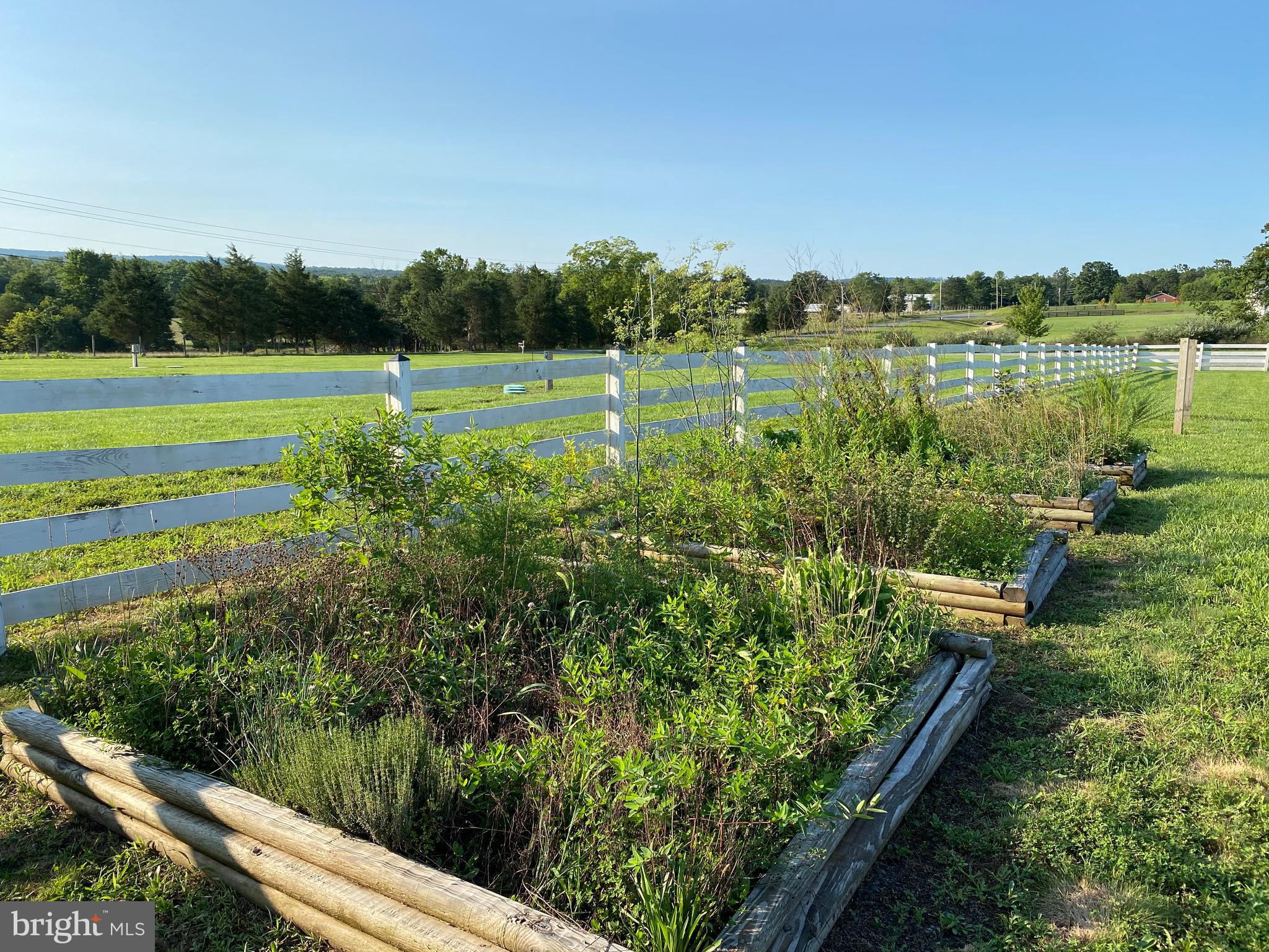 900 South Hayfield Road Winchester, VA 22602 - Photo 12 of 53 Raised Garden Beds in Fenced Rear Yard