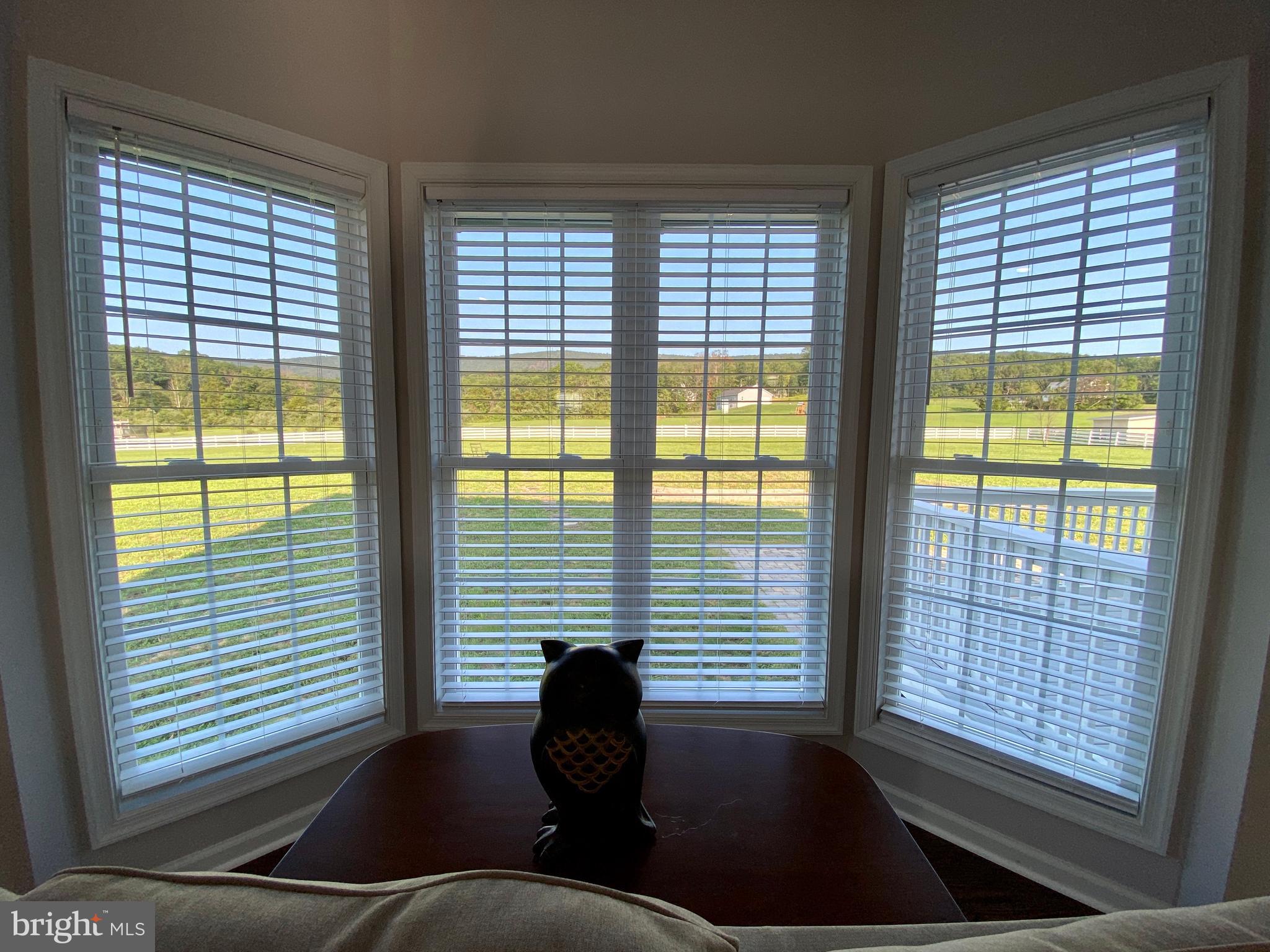900 South Hayfield Road Winchester, VA 22602 - Photo 20 of 53 Beautiful Views from the Family Room Bay Window