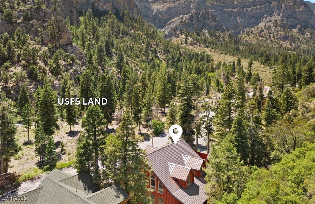 360 Echo Road Mount Charleston, NV 89124 - Photo 2 of 75 Directly across from US Forest Service land!