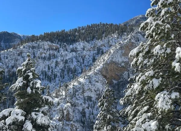 $1,050,000 | 360 Echo Road, Mount Charleston, NV 89124