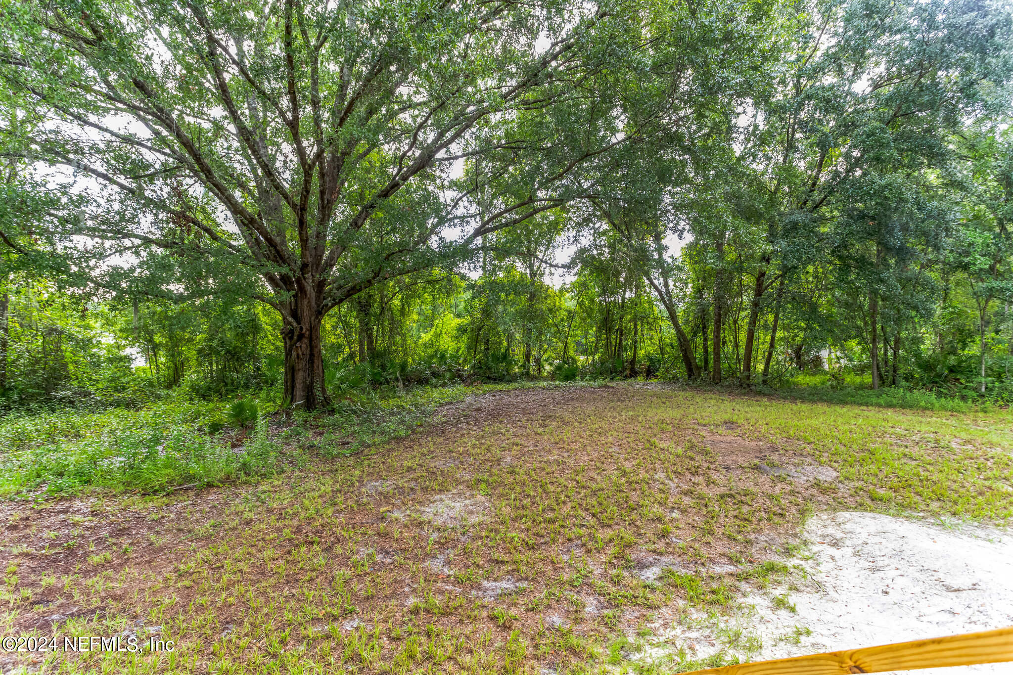556 Kay Road Middleburg, FL 32068 - Photo 4 of 31 556_Kay_Rd_Middleburg_FL_32068_USA-Exter