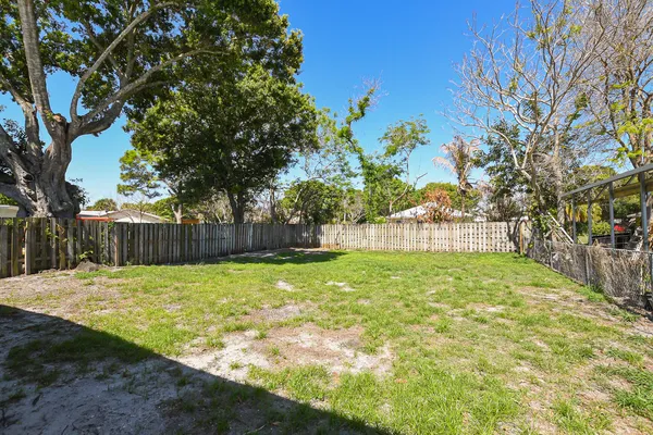 a view of backyard with tree