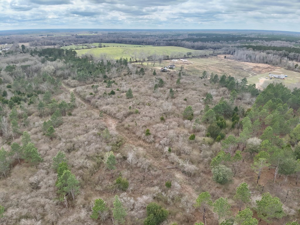 86-acres New Hinson Road Slocomb, AL 36375 - Photo 12 of 15