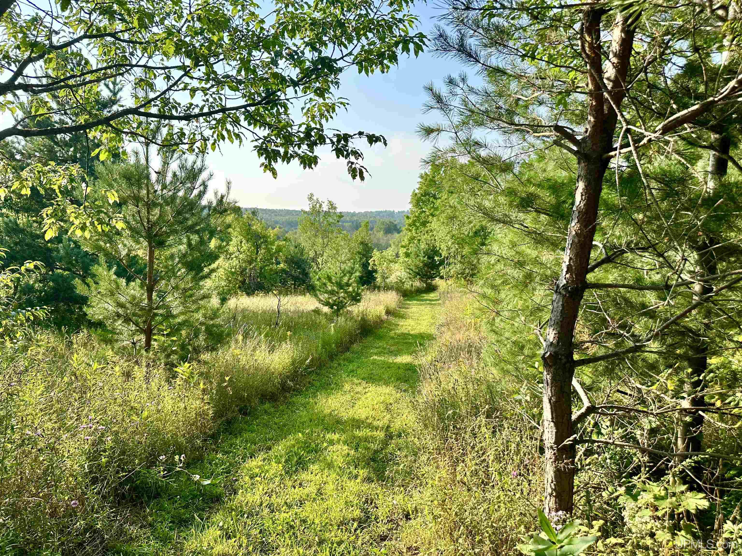 Tbd Crestview Road Ironwood, MI 49938 - Photo 5 of 49