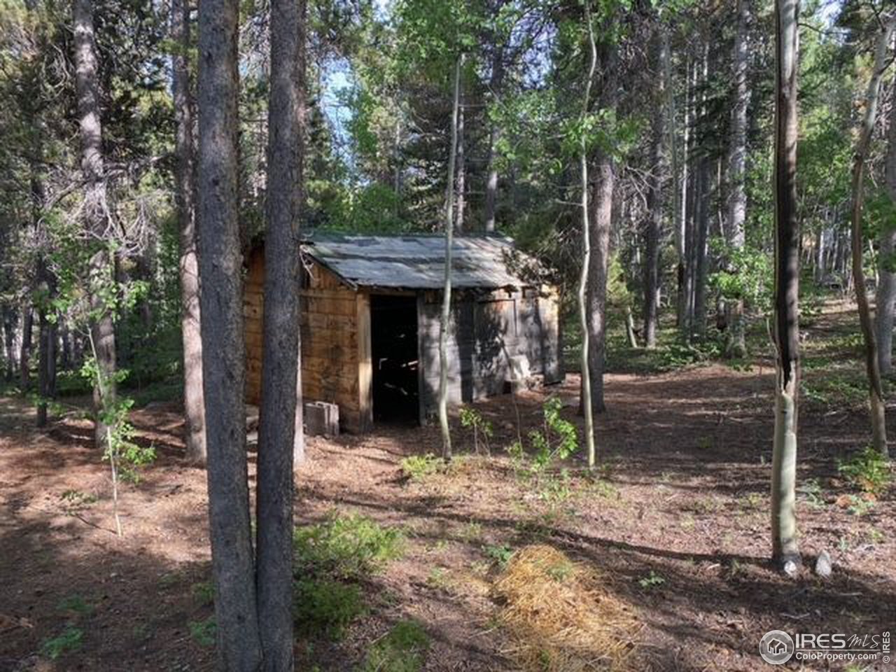 162 Silver Road Black Hawk, CO 80422 - Photo 25 of 28 Shed located to the South east of cabin