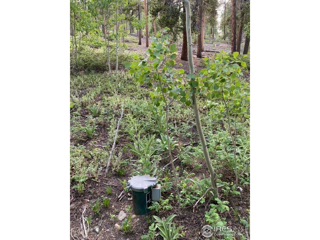 162 Silver Road Black Hawk, CO 80422 - Photo 27 of 28 Well