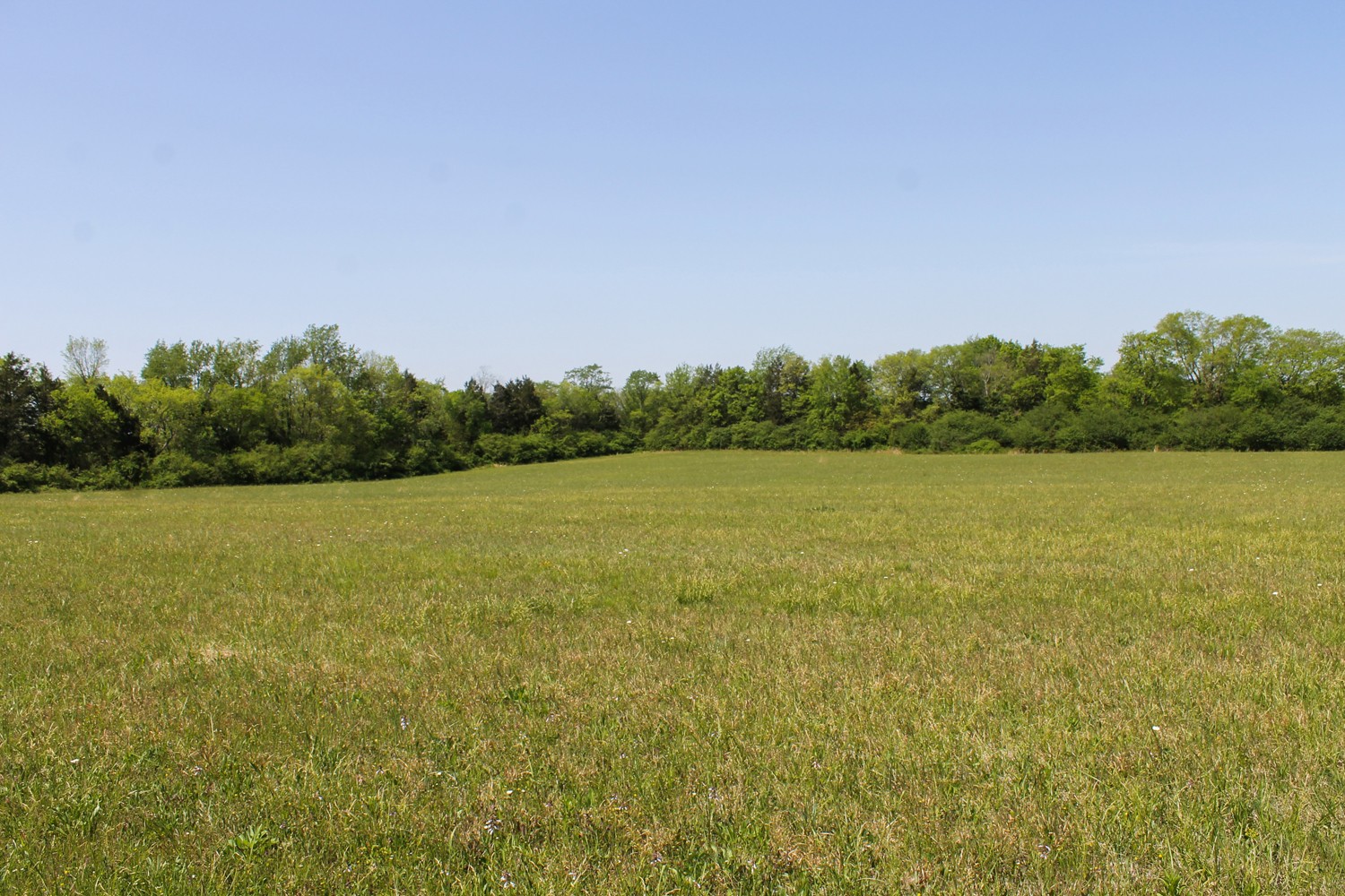 0 Wilson Overall Road Murfreesboro, TN 37127 - Photo 1 of 3 Gallery Image 1