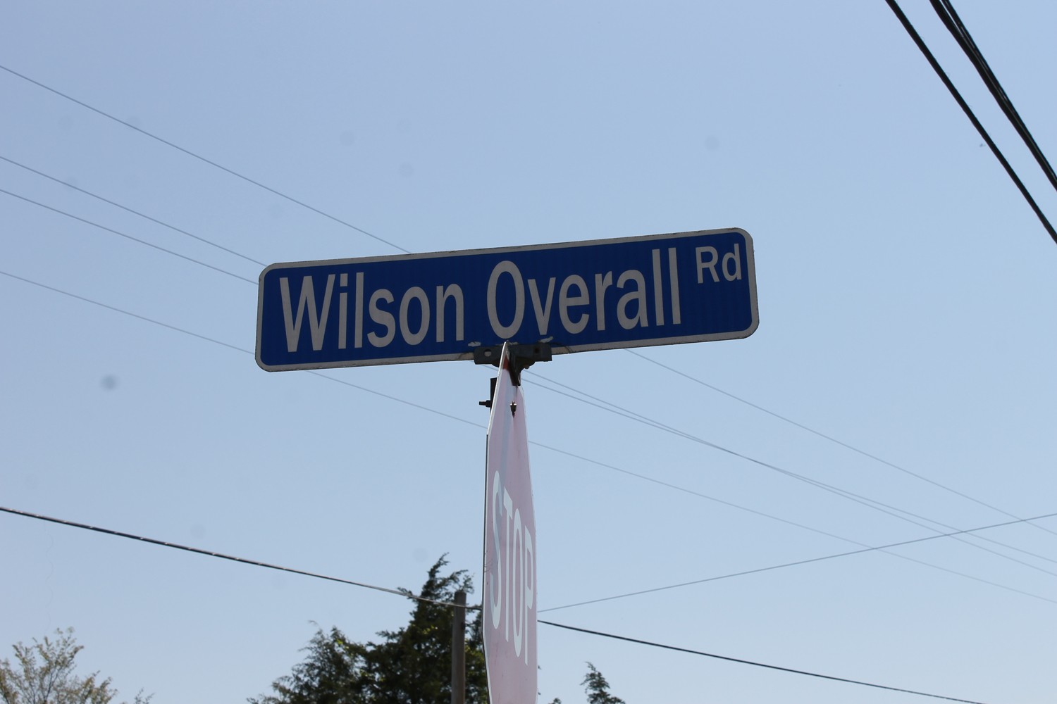 0 Wilson Overall Road Murfreesboro, TN 37127 - Photo 3 of 3 Gallery Image 3