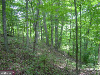 50 Krauser Road Downingtown, PA 19335 - Photo 5 of 5 Gallery Image 5