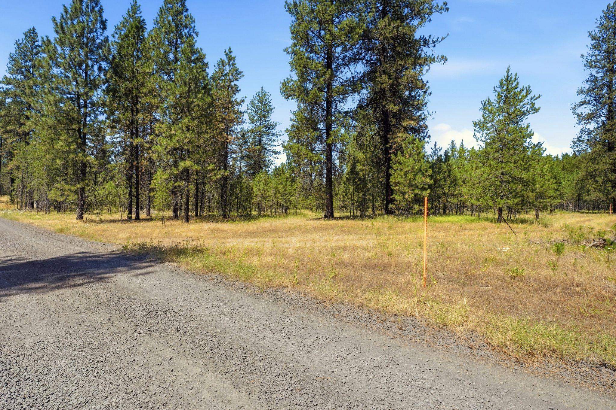 0 East Owens Road Chattaroy, WA 99003 - Photo 6 of 17