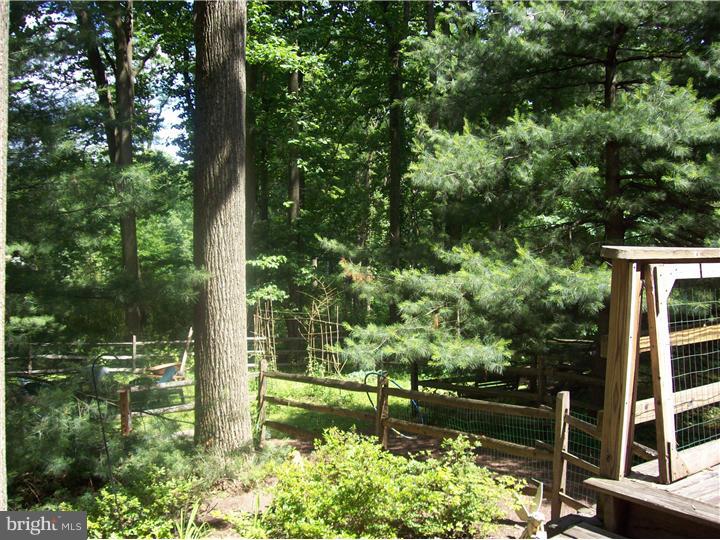 6164 Yorkshire Road New Hope, PA 18938 - Photo 18 of 20 View in Back
