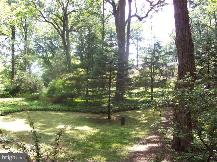 6164 Yorkshire Road New Hope, PA 18938 - Photo 5 of 20 Front Yard