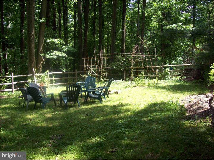 6164 Yorkshire Road New Hope, PA 18938 - Photo 6 of 20 Back Yard