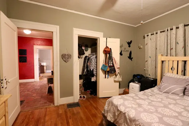 a tree in front of a house with a large tree